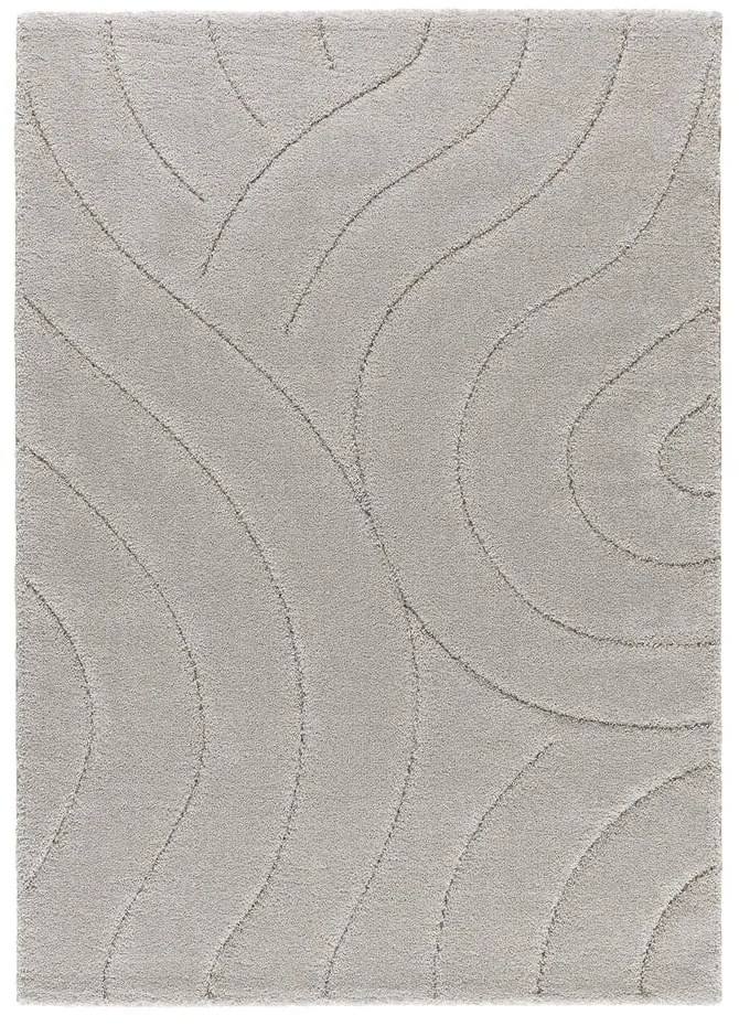 Világosszürke szőnyeg 60x120 cm Molier – Universal