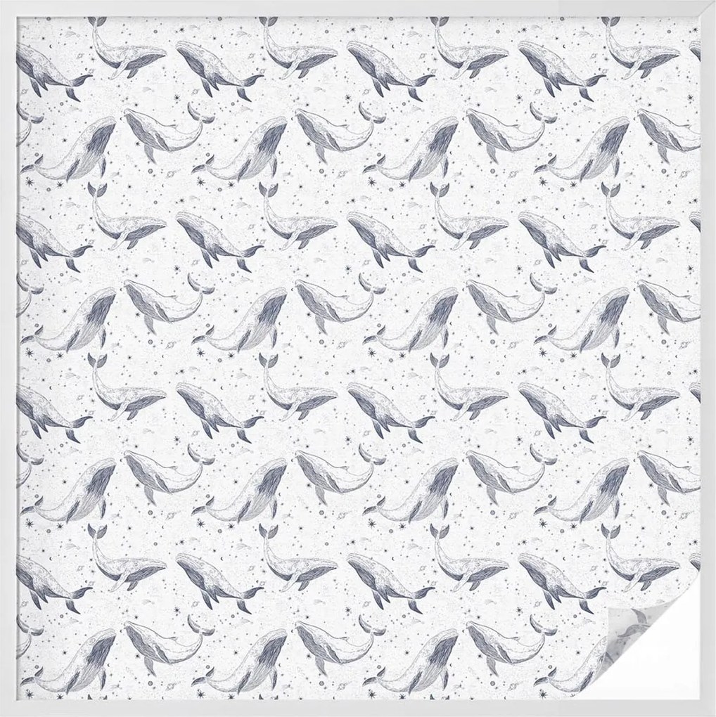 Ablakfólia Öntapadós Adatvédelem Tengeri lények 100x100