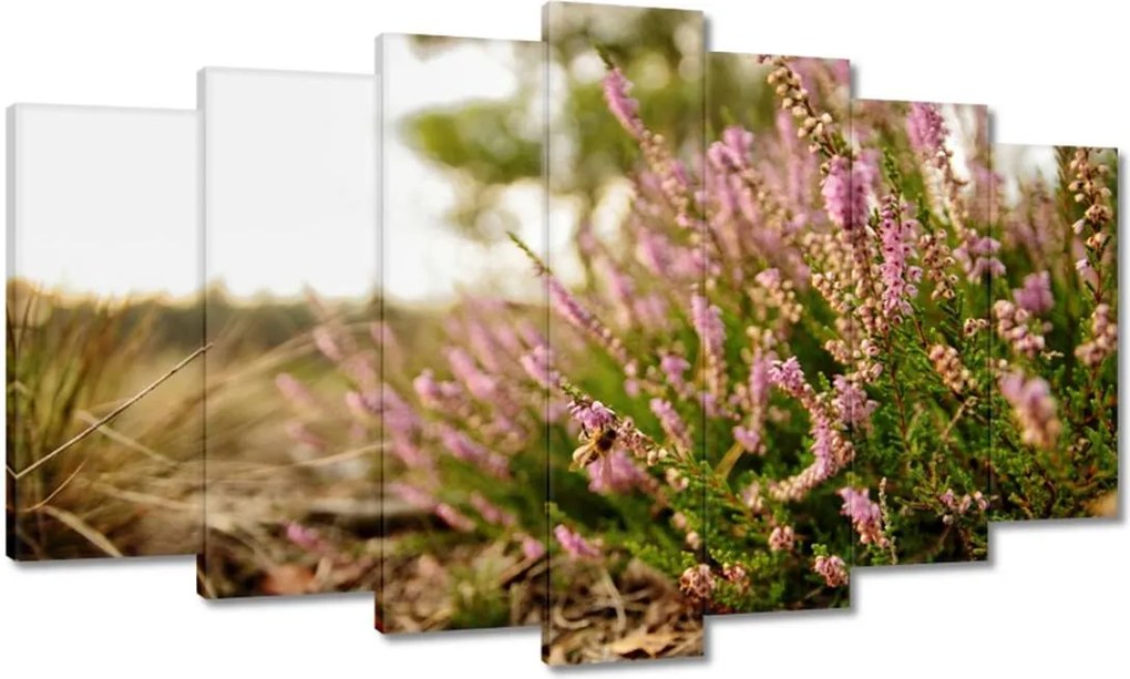 Vászonkép 140x80 Erdei láp tobozok