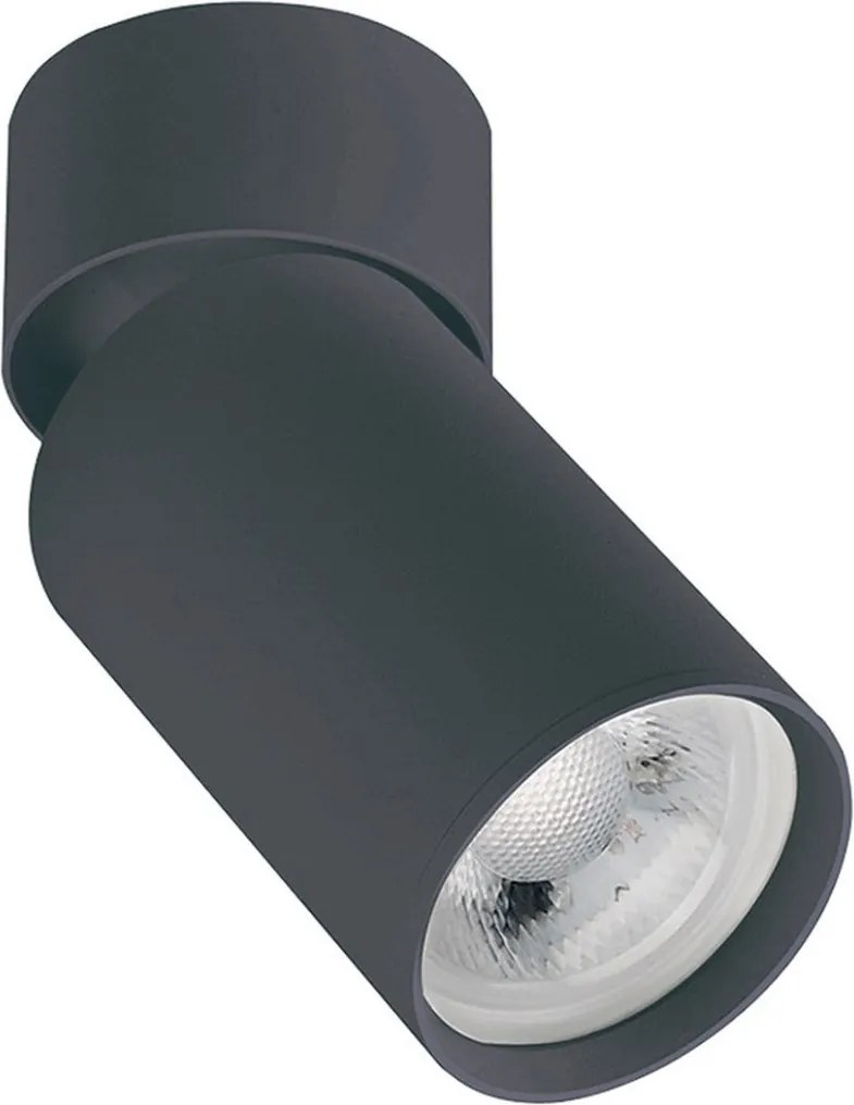 Zambelis CEILING SPOT S124 Felületi spotlámpa 1x40w/GU10 IP20