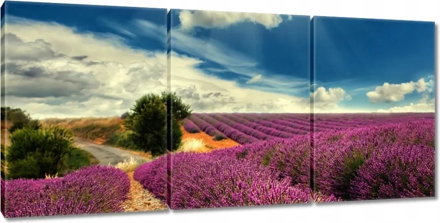 Vászonkép 150x70 Levendulamező