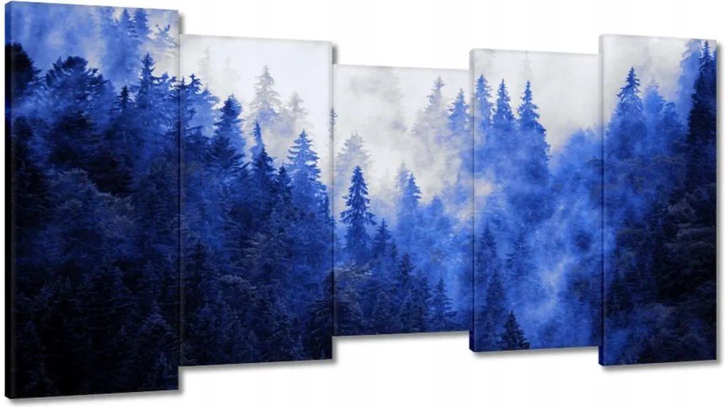 Vászonkép 150x80 Kék táj Hegyek