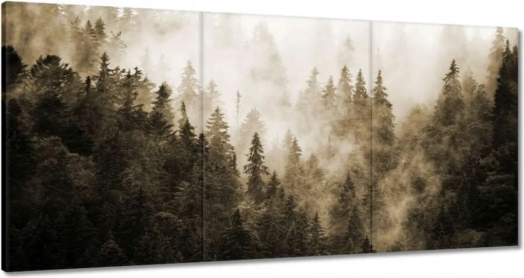 Vászonkép 120x60 Tájkép Szépia Hegyek Köd