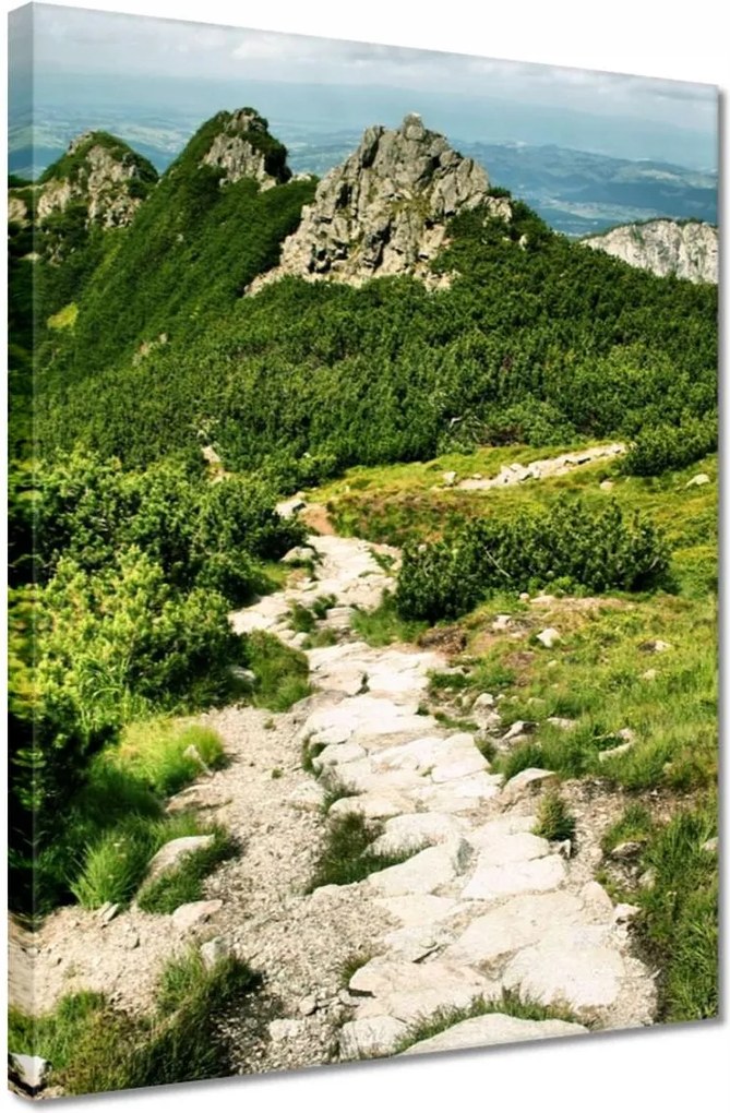 Vászonkép 30x40 Tátra Lengyel hegyek Kilátás