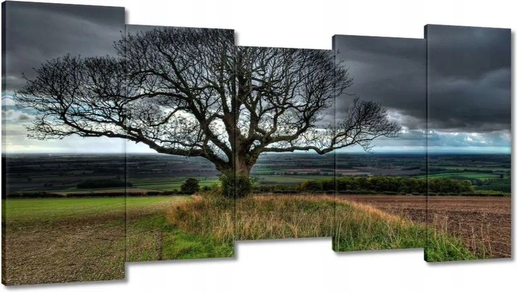 Festmények 150x80 Fa tájkép