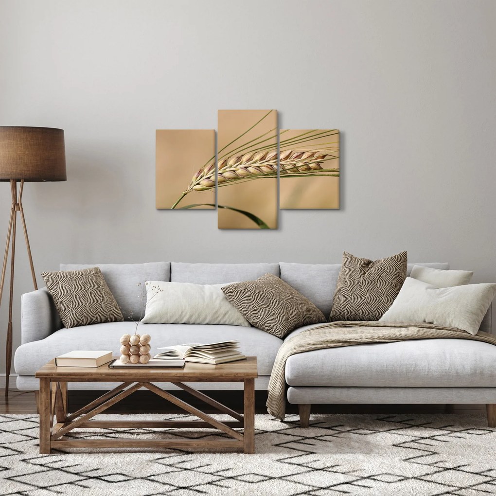 Kép - Búza (90x60 cm)