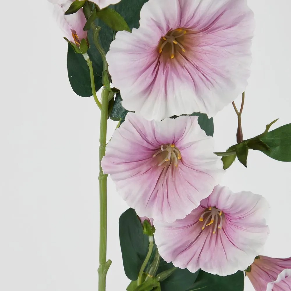 FLORISTA hajnalpír 76cm , lila/fehér