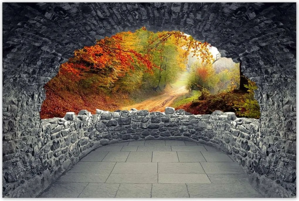 Poszterek 60x40 Út az erdőben ősz