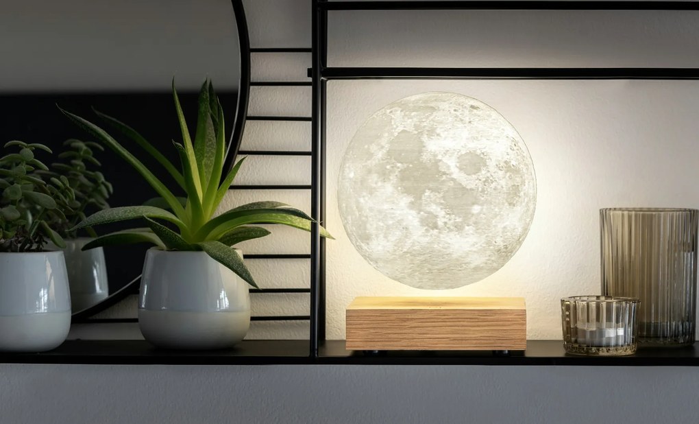 Lámpa "Moon", kőris - Gingko
