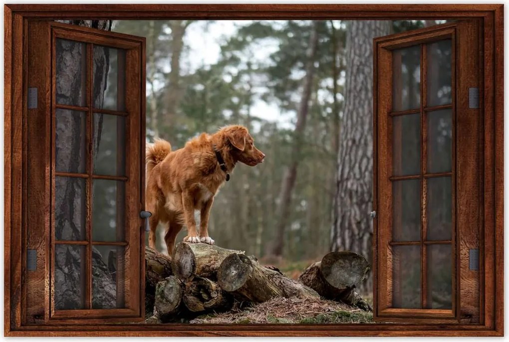 Poszterek 90x60 Kutya Kutyák