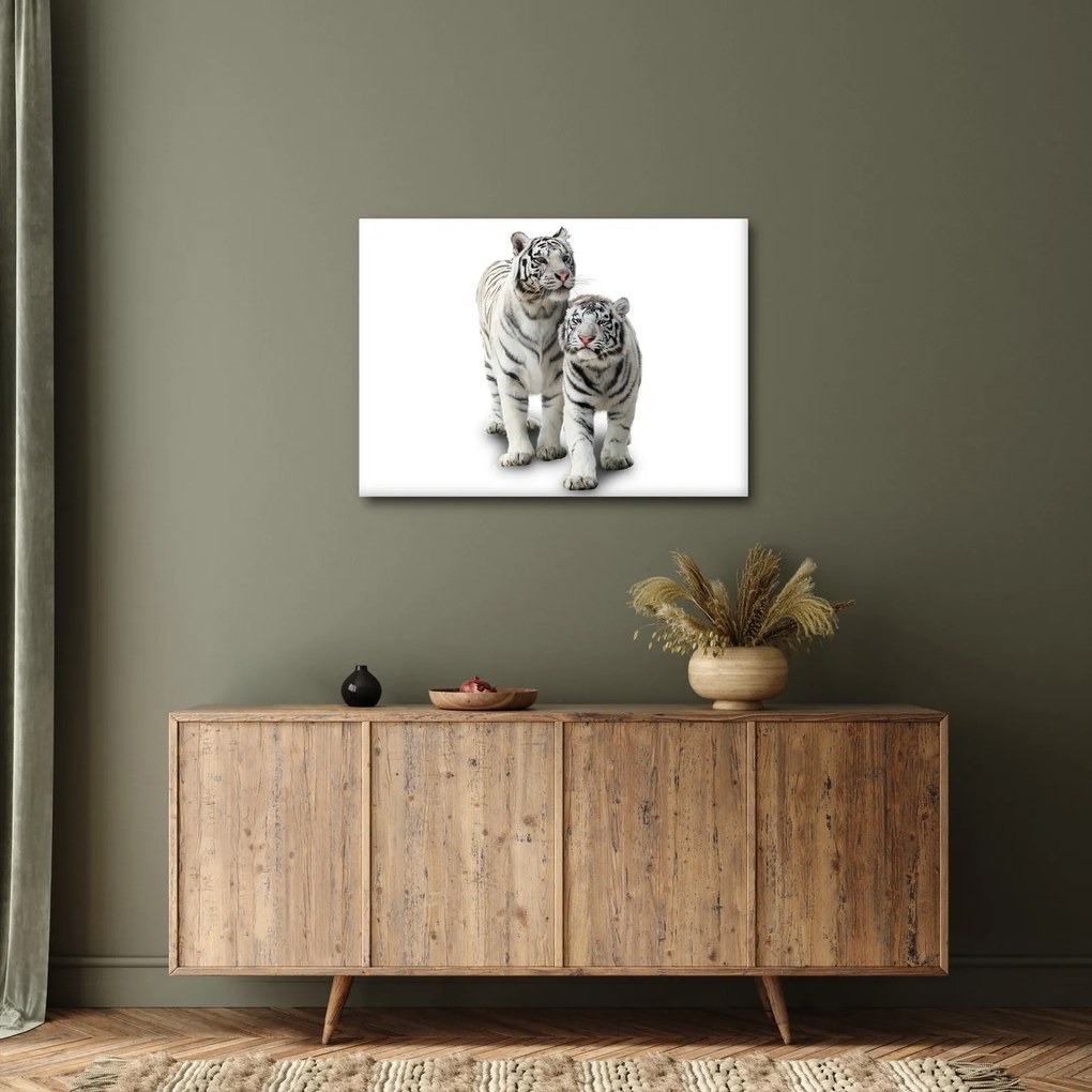 Kép - A fehér tigris (70x50 cm)