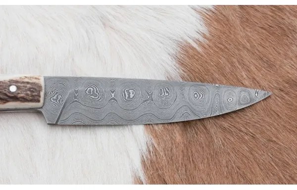 Vadász dispatch kés 12 cm szarvas agancs