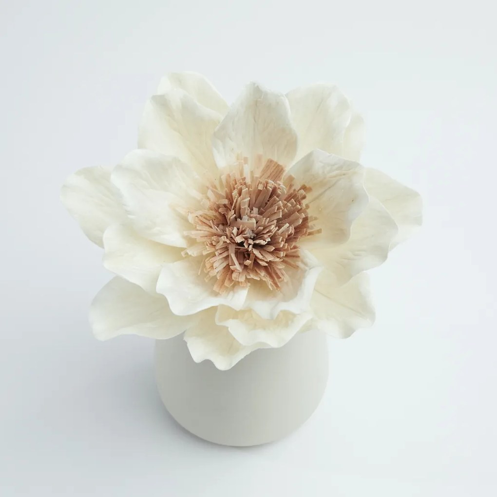 LIPSI designer diffúzor illattartóval - ANOQ