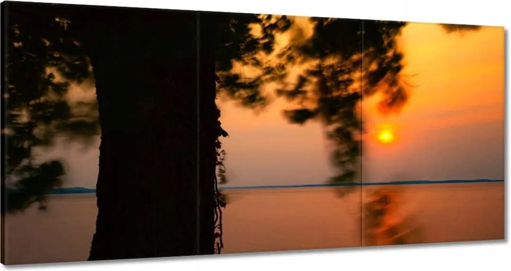 Vászonkép 180x90 Fa Napnyugta