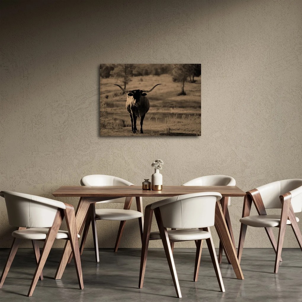 Kép - Texasi tehén (70x50 cm)