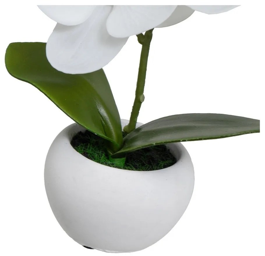 Műnövény szett 3 db-os (magasság 15 cm) Orchid – Casa Selección