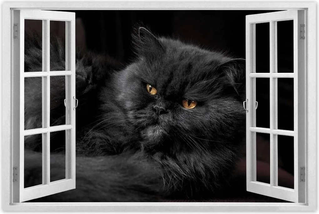 Poszterek 60x40 Cica Cicák