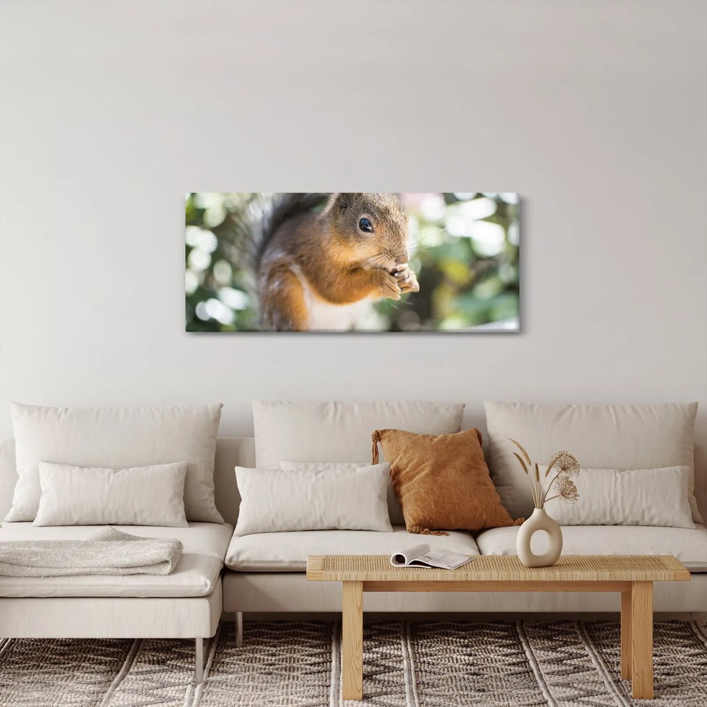 Mókus képe (120x50 cm)