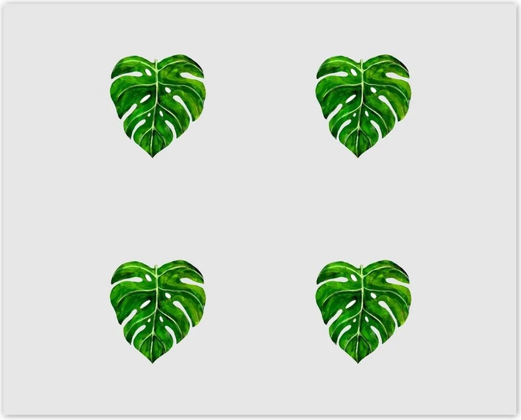 Poszterek 50x40 Monstera Lyukas levelek