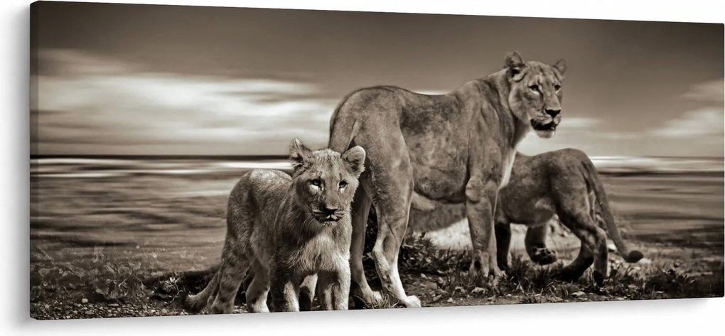 Fekete fehér tigris képe (120x50 cm)