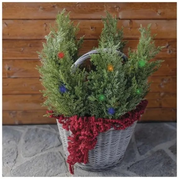 Napelemes LED dekoráció 50xLED/3W/1,2V 600 mAh IP44