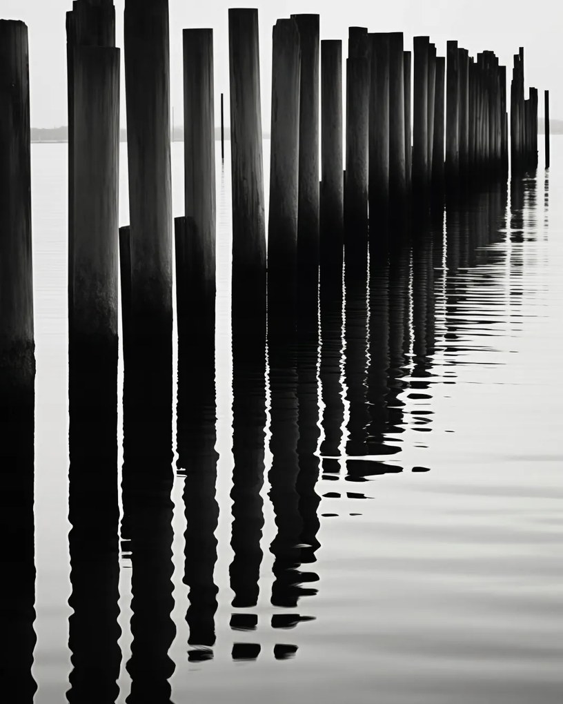 Poszter 40x50cm Víz és fa ritmusa