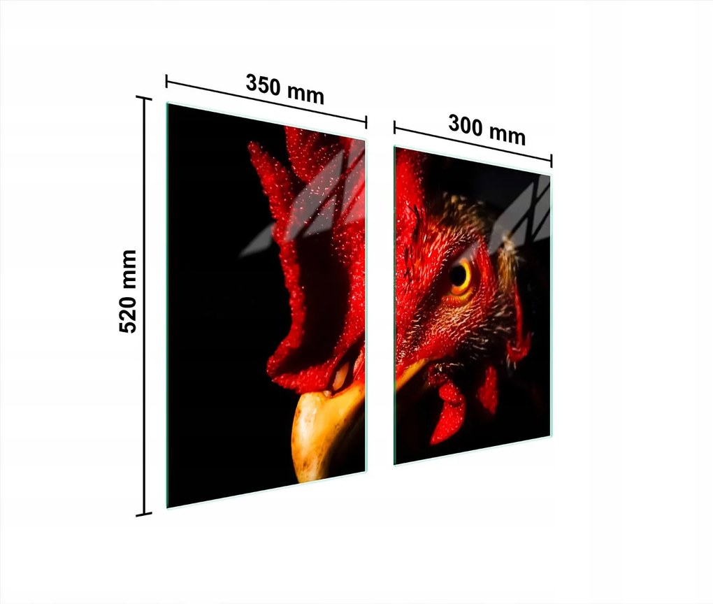 Üveg Konyhai Védőlap 65x52 Kakas