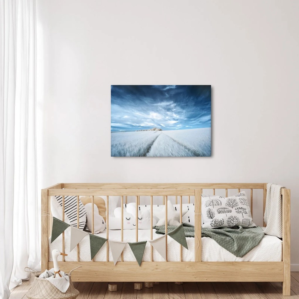 Mezőkép (70x50 cm)