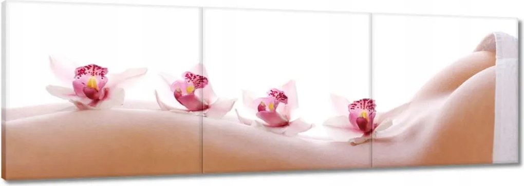 Képek 150x50 Pihenés a SPA-ban Orchideák