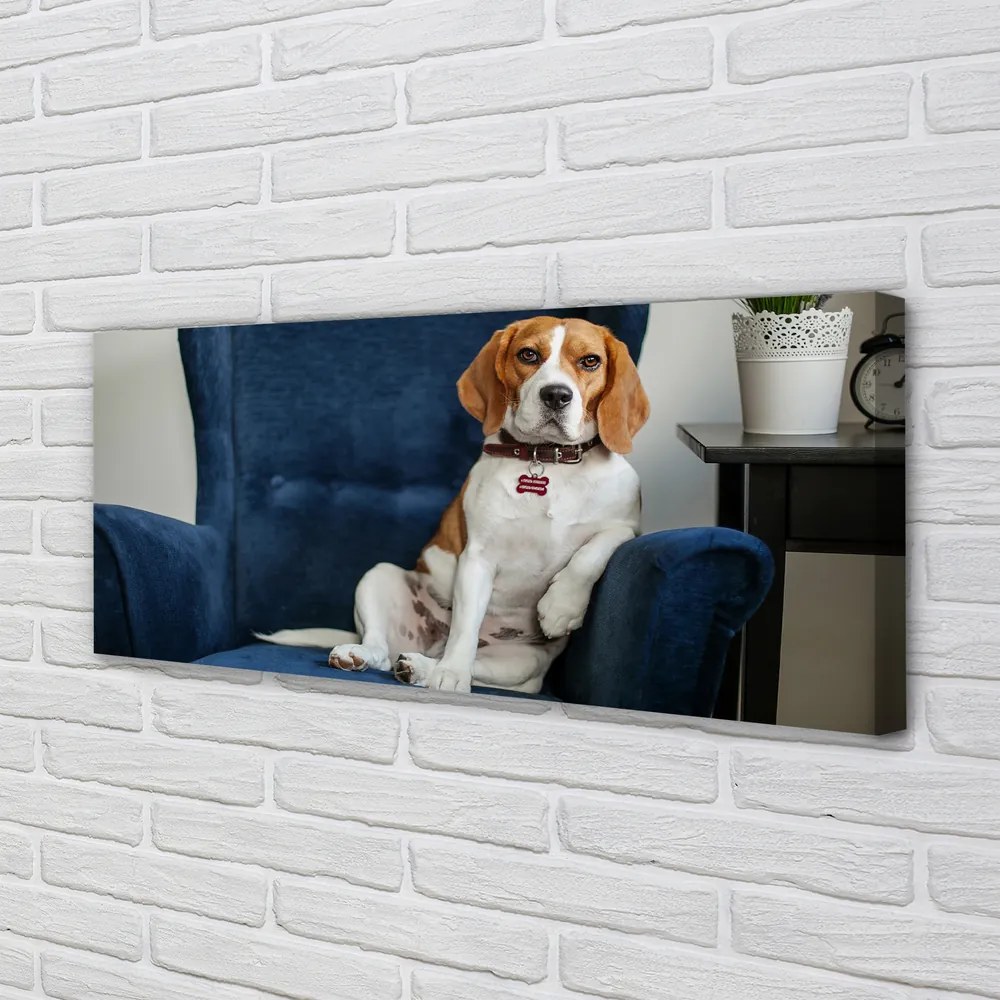 Canvas képek ül kutya 120x60 cm