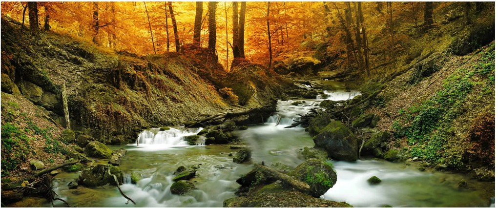 Kép - Erdő (120x50 cm)