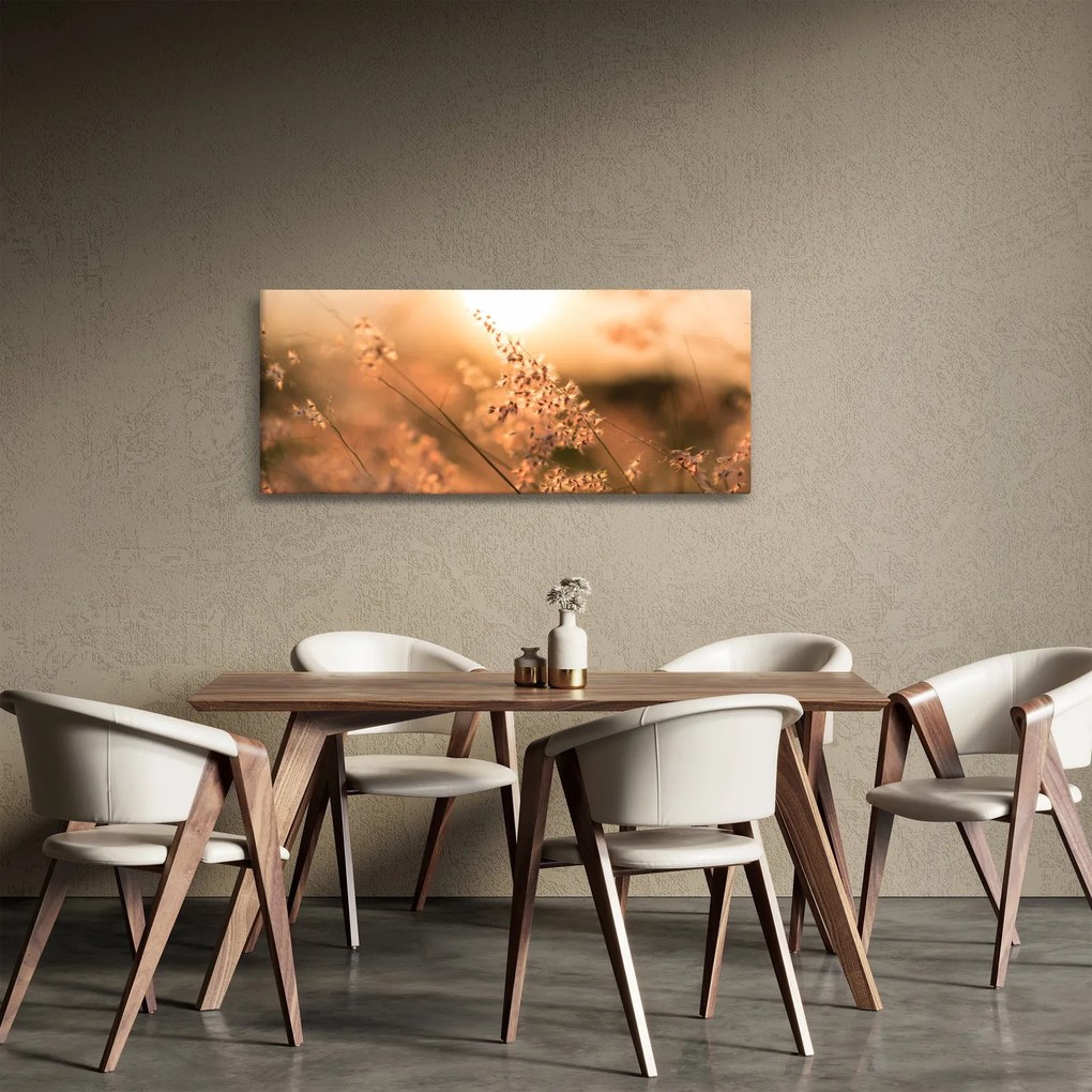 Kép - Fű a napon (120x50 cm)