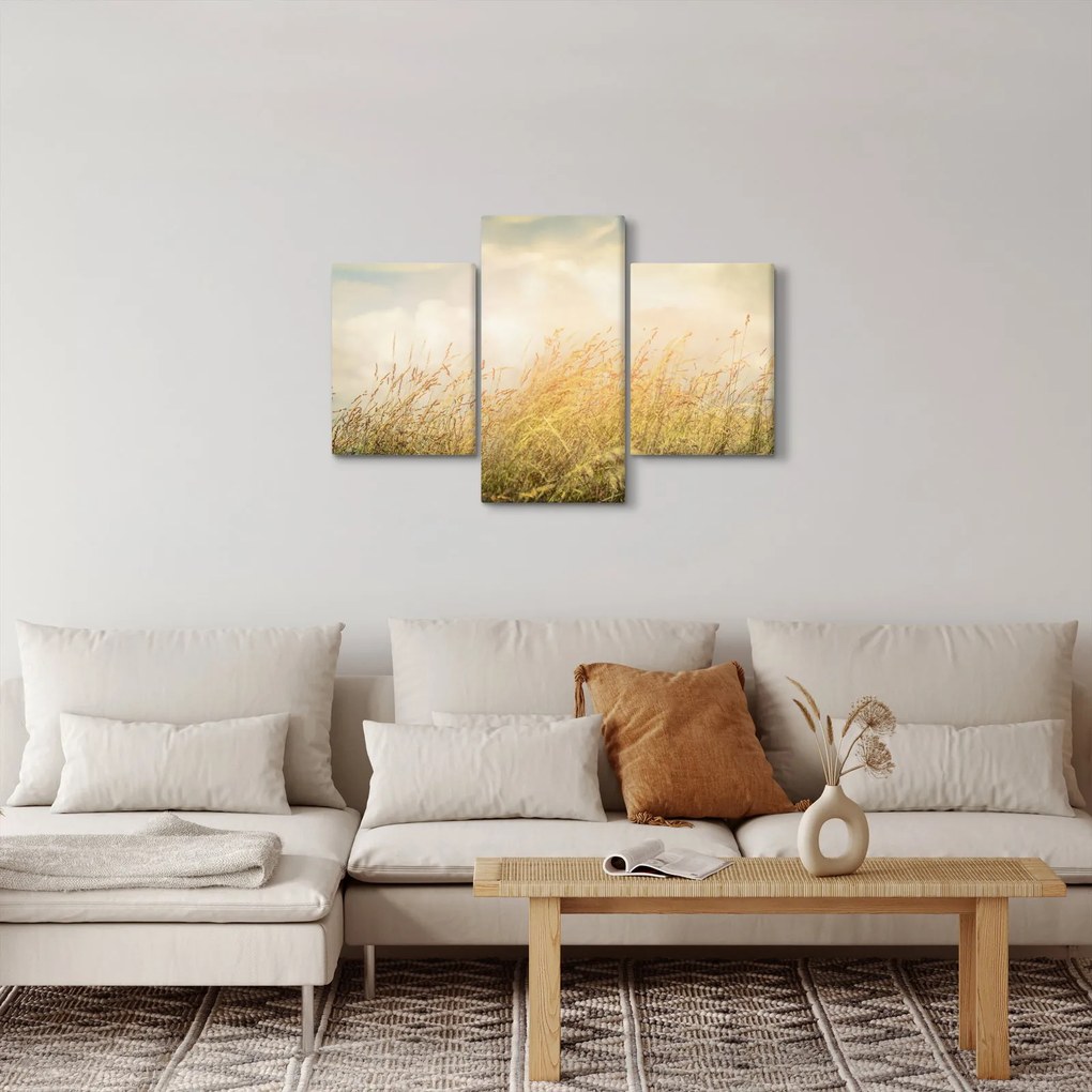 Kép - Mező ősszel (90x60 cm)