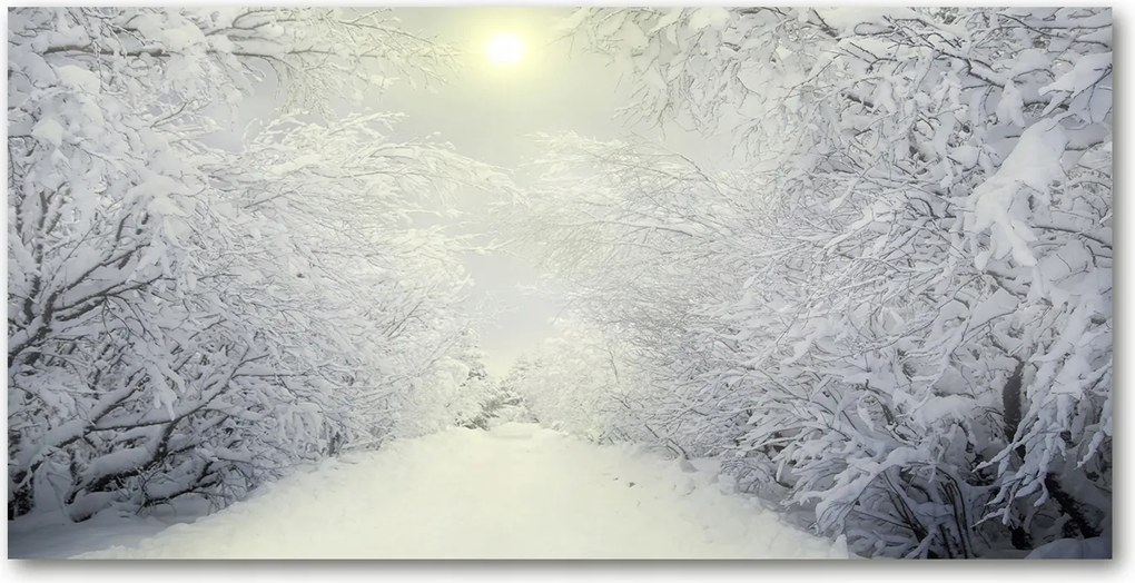 Fotótapéta üvegfalra Gyönyörű erdő télen 140x70