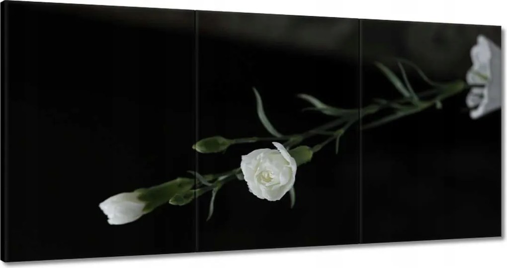 Vászonkép 180x90 Fehér szegfű virágok
