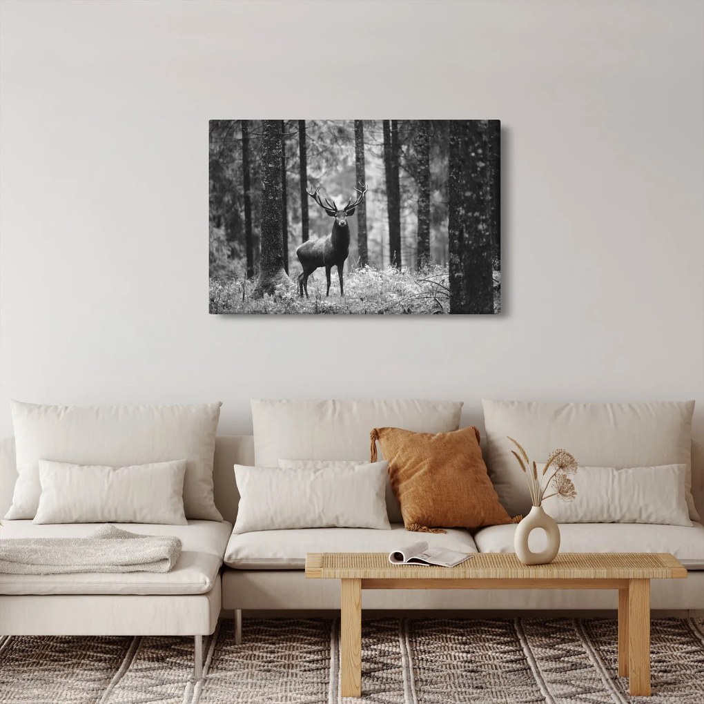 Kép - Szarvas az erdőben 2, fekete-fehér (90x60 cm)