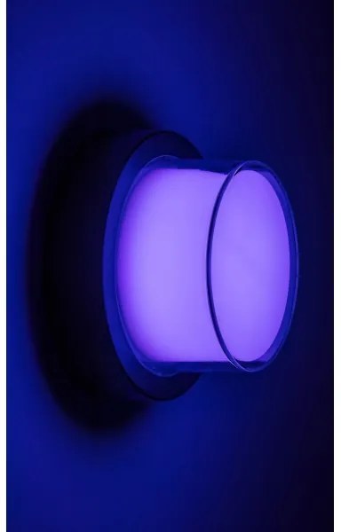 Rabalux 7246 - LED RGBW Kültéri lámpa DURBE LED/10W/230V IP54 Wi-Fi Tuya