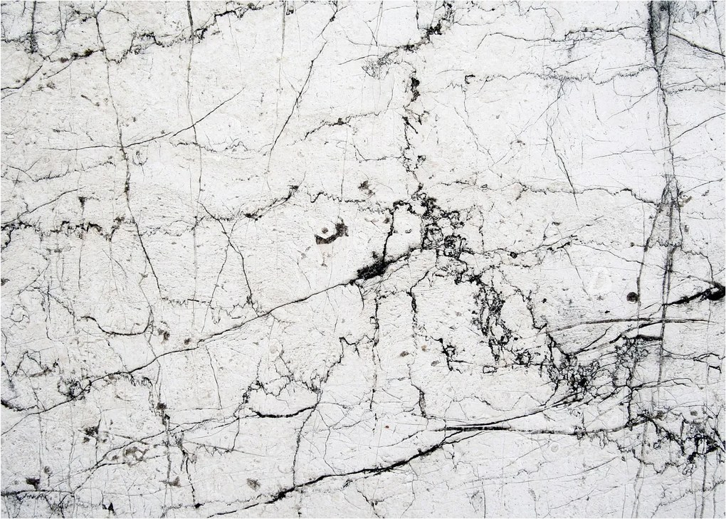 Kép - Fal (70x50 cm)