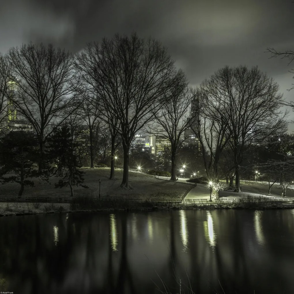 Poszter 40x40cm Central Park éjszaka 2, Assaf Frank
