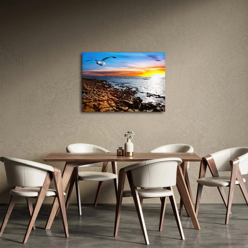 Kép - Sirály repül a tengerpart felett (70x50 cm)