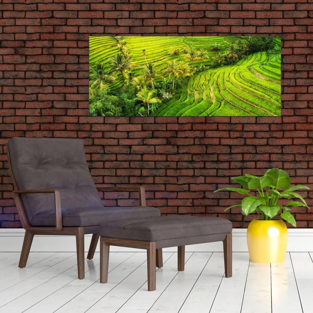 Kép - Rizs teraszok (120x50 cm)