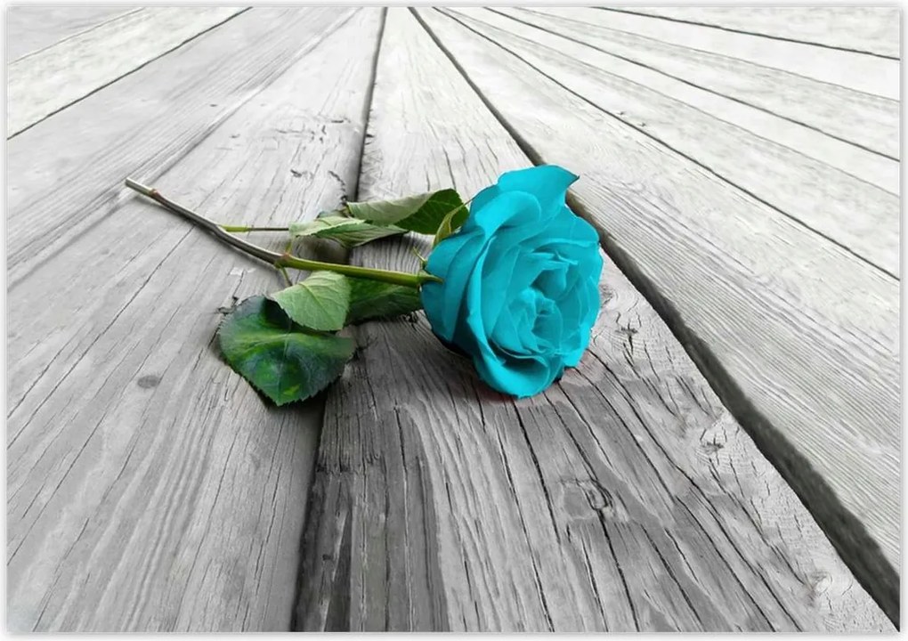Poszterek 100x70 Kék rózsa a deszkákon