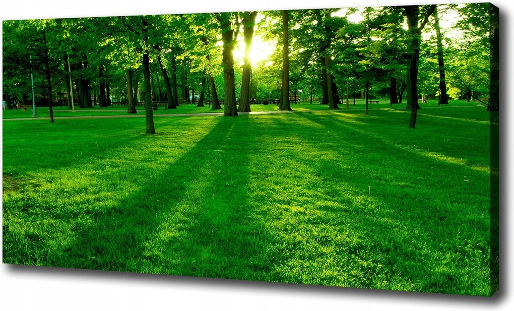 Vászonkép Fű a parkban 100x70 cm