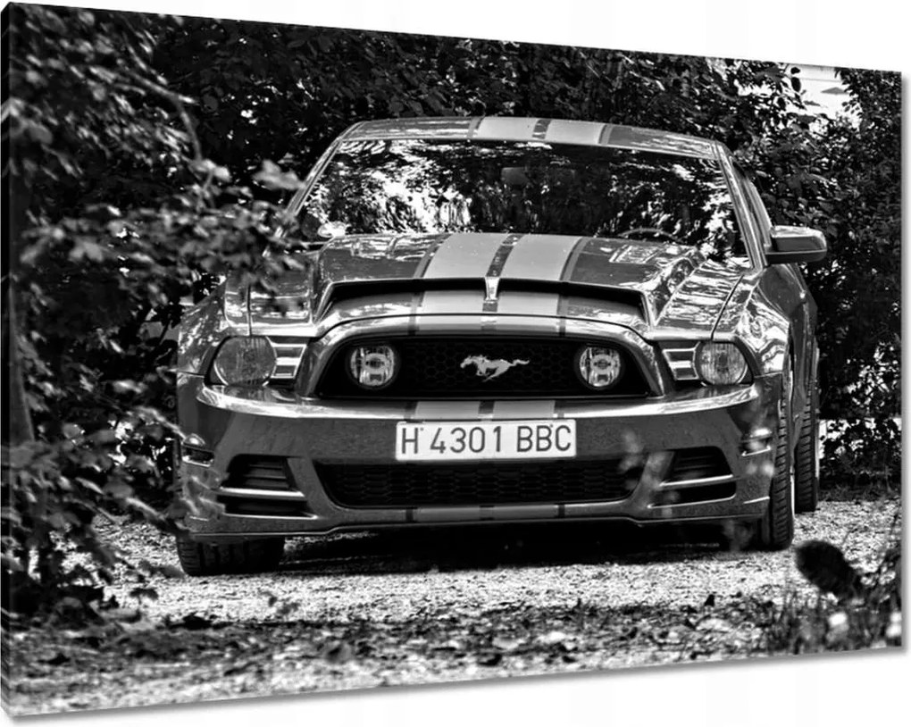 Képek 100x70 Ford Mustang