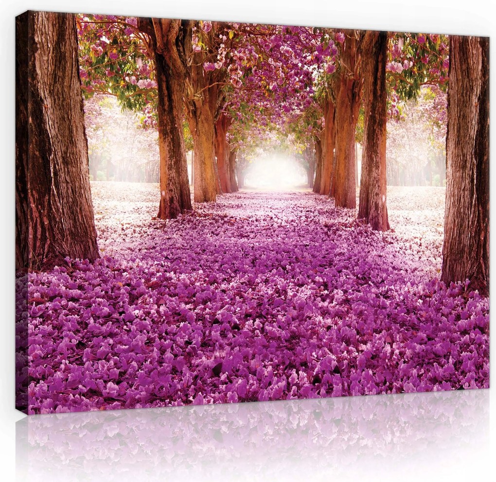 Vászonkép 70x50 Romantikus virágzó kerti sikátor Hálószoba/Bármilyen stílus