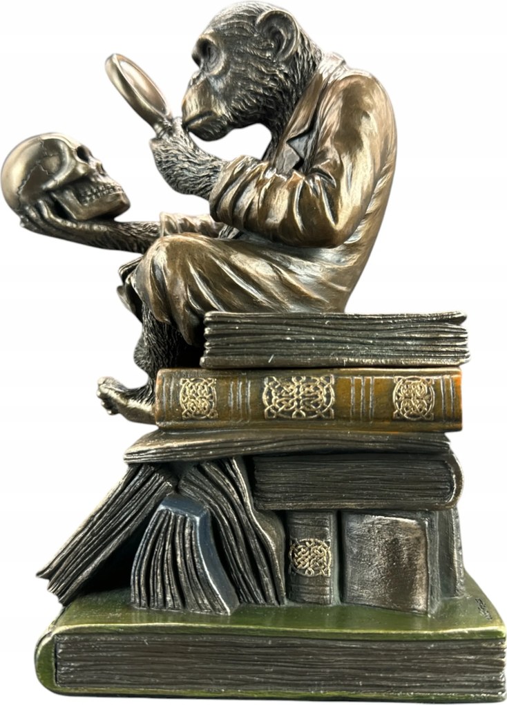 Figura Szobor Ékszerdoboz Csimpánz Evolúció Veronese (WU76129A4)