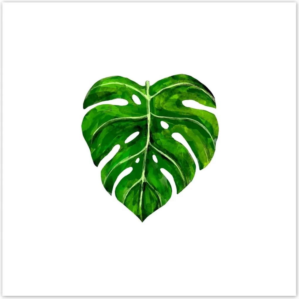 Poszterek 100x100 Modern levél motívum