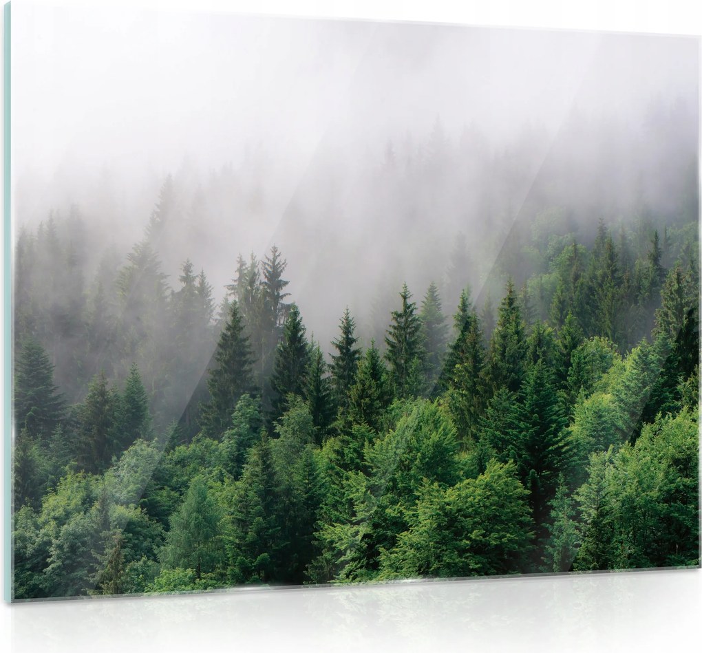 Üvegfestmény Erdő a ködben Konyha 80x60