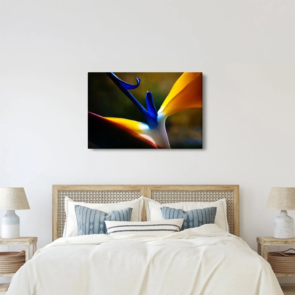 Kép - Egzotikus virág (90x60 cm)