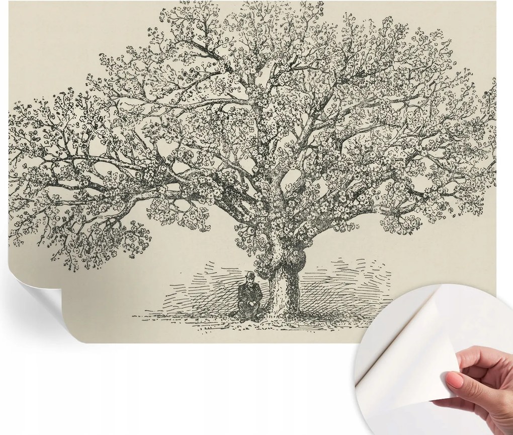 Öntapadós fali fotótapéta Hálószobába Fa illusztráció 312x219 cm